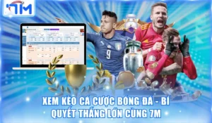 Xem kèo cá cược bóng đá